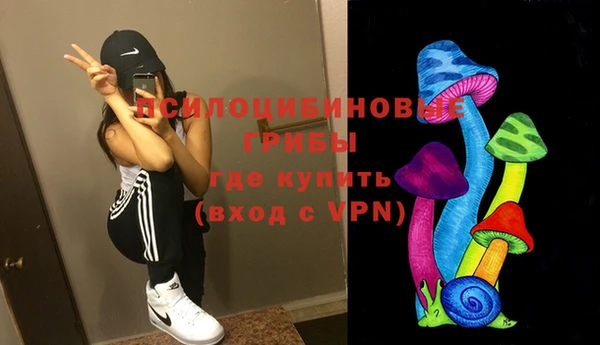 спайс Кулебаки
