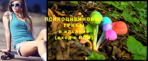 спайс Кулебаки