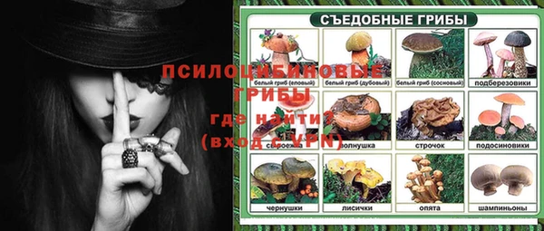 эйфоретик Кукмор