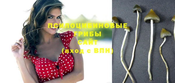 эйфоретик Кукмор